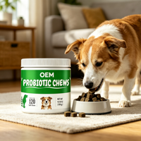 Comprimés à croquer multivitaminés pour chiens – Complément nutritionnel aromatisé pour usage quotidien – OEM