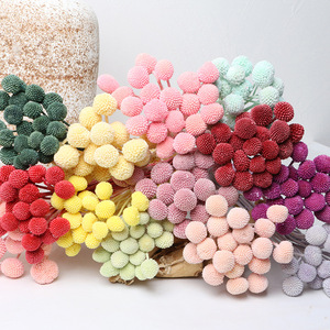 2024 AliExpress nóng Bán kích thước lớn 2-3cm Billy nút bảo quản craspedia cho trang trí nội thất truy cập - Product Image 1