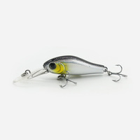 Micro leurre minnow à longue queue, flottant lentement, appât artificiel dur pour la pêche au bar, à la truite, à la perche et aux petits poissons en eau douce, équipement de pêche.