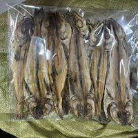 Meilleures ventes de produits commerciaux : Poisson séché de haute mer, fruits de mer séchés au soleil naturels, morue de l'Alaska séchée, poisson séché en gros