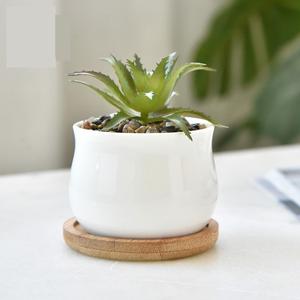 Macetas Modernas de Lujo de Alta Calidad para Plantas Gruesas, Soportes para Macetas de Bonsái para Uso en Interiores y Jardines - Product Image 3