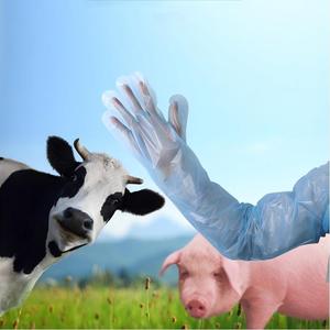 Veterinária descartável longo retal luvas PE Material 90cm comprimento impermeável anti-incrustantes para caça campo vestir cervos/vaca - Product Image 6
