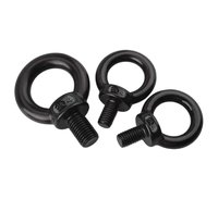 Baut Pengangkat & Mur Pengangkat Baja Tahan Karat Hitam 304 Standar Nasional Hoist Ring M3 M4 M5 M6 M8 M10 M12