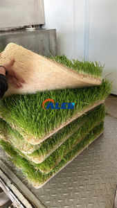 Automatic Vertical Farming Container Hydroponic Aeroponic Plant Grow <strong>System</strong> with Motor Factory-Supply for <strong>Efficient</strong> Growing - Product Image 4