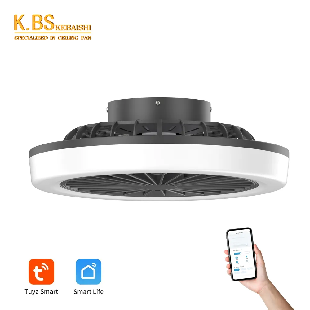 18 Inch Fan Light Indoor Small Tuya App Control Smart Modern Chandelier Led Ceiling Fan With Light And Remote