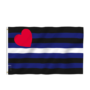 Drapeaux LGBT Aroace Pride Aromantic Asexual 3x5 pieds en polyester avec œillets en laiton - Product Image 6