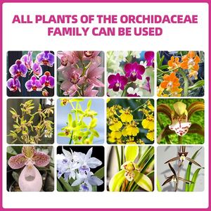 <span class=keywords><strong>Engrais</strong></span> organique spécial pour orchidées, milieu pour orchidées, éléments pour une floraison multiple, renforce les racines - Product Image 3