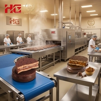 Four à sole automatique haute capacité en acier inoxydable pour la production de rouleaux, stérilisateur alimentaire, laminoir à pâte et mélangeur - Modèle HG