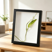 Marcos de Exhibición Creativos y Ecológicos de MDF para Colgar en la Pared, Decoración de Mesa con Flores Secas, Caja de Sombra, Marco para Cuadros