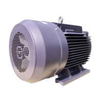Moteur électrique à induction triphasé haute efficacité 10 kW en gros