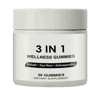 Gummies de bien-être 3-en-1 aux herbes naturelles pour le dropshipping – Bonbons pour adultes infusés au Shilajit pour un regain de vitalité quotidien
