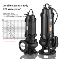 Pompe submersible électrique haute pression en fer pour eaux usées 220V/380V pour machines de traitement de l'eau avec garantie de 2 ans