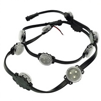 Lampes LED à points RGB PVC SMD3535 12V 30mm IP67 pour aménagement paysager et parcs d'attractions