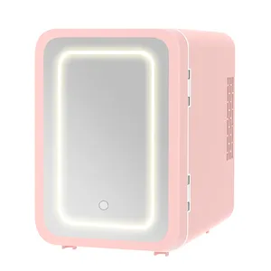 4l Thuisgebruik Elektrische Huidverzorgingskoelkast Voor Cosmetische Draagbare Ac 100V-220V Dc 12V Mini Cosmetische Koelkast Met Spiegel Led Licht