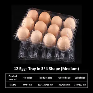 Grandes caixas de ovos de galinha com 12 buracos, embalagens de plástico, bandeja de ovos, fabricante de recipientes, ecológico de alta qualidade