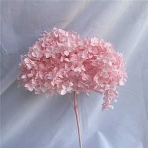 Rama Larga de Flor de Hortensia <span class=keywords><strong>Anna</strong></span> Preservada, Decorativa, Individual, para Decoración del Hogar, Bodas, Festivales, Eventos y Escenarios - Product Image 6