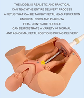 Máquina de Parto Manual, Modelo Giratorio, para Simulación de Mujeres Embarazadas y Demostración de Enseñanza Médica CE/ISO