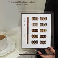 Vente en gros de vernis à ongles en gel Suuseegel, série marron, 10 couleurs, effet œil de chat, gel UV de haute qualité, non toxique, pour salon de manucure, ODM/OEM