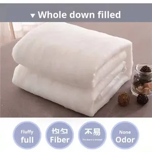 Piumino per Hotel, Ospedali e Strutture Specializzate, Bianco, Ispessito, per Tutte le Stagioni, in Fibra Spazzolata, Origine Cina - Product Image 4