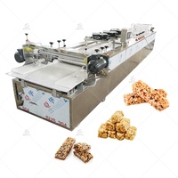 Machine mélangeuse industrielle automatique pour la fabrication de pralines, nougats, barres de cacahuètes, granola, céréales, barres protéinées, ligne de transformation alimentaire