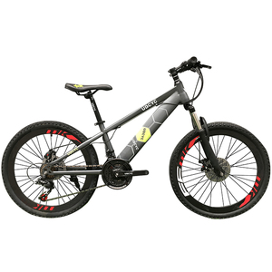Bicicleta de Montaña <span class=keywords><strong>MTB</strong></span> de 20/24/26 Pulgadas con Frenos de Disco, Cuadro de Acero, 21 Velocidades, para Hombre - Product Image 3