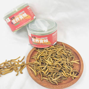 Gusanos de harina amarillos frescos y ricos en proteínas - Estimulan el crecimiento en anfibios - Product Image 4