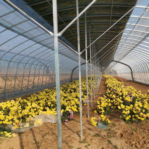 <span class=keywords><strong>Manta</strong></span> Térmica <span class=keywords><strong>para</strong></span> Clima Frío, Edredón Aislante <span class=keywords><strong>para</strong></span> Mantener el Calor en Invierno con <span class=keywords><strong>Invernadero</strong></span> Automático - Product Image 6