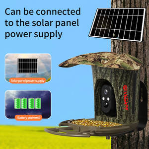 VESAFE 3MP <span class=keywords><strong>Birdhouse</strong></span> kablosuz gece görüş görünüm sistemi kuş yuva Ai akıllı kuş besleyici kamera GÜNEŞ PANELI - Product Image 4