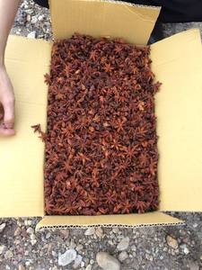Anís Estrellado Vietnamita de Súper Calidad, Sabor Rico, Especia Natural, Apto para Suministro al por Mayor e Importadores Globales - Product Image 6