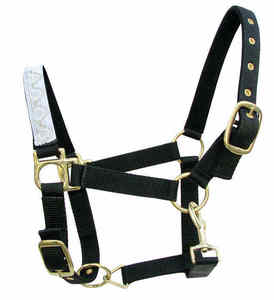 Halter de caballo de nailon de primera calidad con relleno suave, equipo estable duradero para caballos, Ideal para entrenamiento y equitación - Product Image 1