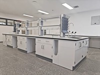 Poste de travail de laboratoire en métal avec armoire de rangement, banc de laboratoire résistant aux produits chimiques pour l'école et la recherche