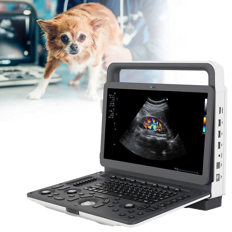 Competitive Price Vet Equipment Pregnancy Diagnosis
