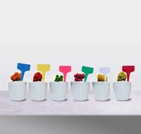Étiquettes de plantes en plastique imperméables de pépinière étiquettes de plantes de jardin piquets marqueurs de pot multicolore