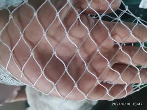 Trung Quốc 100% PE Polyester nuôi trồng thủy sản biển sâu cá trang trại <span class=keywords><strong>Net</strong></span> lồng Hot Bán giá rẻ Lưới Đánh Cá - Product Image 5