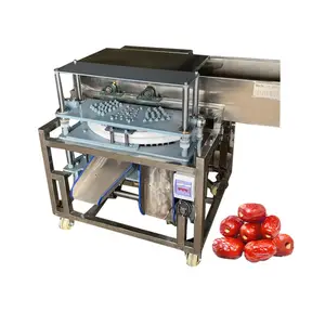 Hohe Präzision Samenlose Maschine Olivendattel-Jujube- und Hawthorn-Samen-Trennmaschine