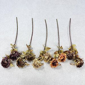 Meibao Fleurs artificielles séchées de haute qualité, pivoines de Luoyang, fleurs artificielles au toucher réel, fleurs immortelles, arrangement de scène d'automne - Product Image 1