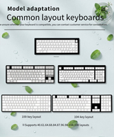 Zornher Minty Meow Keycaps PBT Dye Sublimation Side Print Backlit Keyboard Cover Desktop Esthétique Setup DIY PC Universal