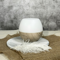 Diffuseur d'arômes 100 ml à brume froide, écologique, 7 lumières colorées, de table, avec diffuseur ultrasonique d'huiles essentielles
