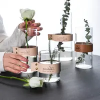 Vaso de vidro criativo, vaso de vidro de alça para decoração e decoração de flores