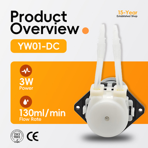 Chất lượng cao <span class=keywords><strong>6V</strong></span> Mini Điện Máy bơm nước áp suất thấp bơm nhu động cho ngành công nghiệp ô tô mô hình YW01-DC OEM hỗ trợ - Product Image 2