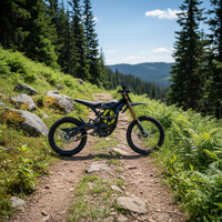 Sutton Sur Ron Surron Light Bee X Black Edition 2026 Dirt Ebike Vélo Électrique Tout-Terrain Pas Cher en Stock à Vendre