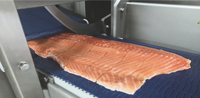 Machine à découper le poisson fumé en filets de poids égal, trancheuse à viande CUT28
