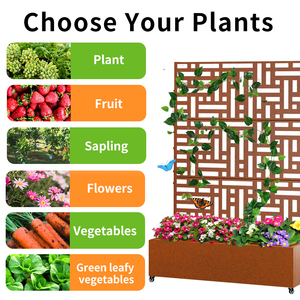 <span class=keywords><strong>Grand</strong></span> <span class=keywords><strong>bac</strong></span> <span class=keywords><strong>à</strong></span> plantes classique en fer avec cadre de clôture pour plantes grimpantes et vignes, <span class=keywords><strong>bac</strong></span> <span class=keywords><strong>à</strong></span> jardin <span class=keywords><strong>sur</strong></span>élevé galvanisé <span class=keywords><strong>sur</strong></span> <span class=keywords><strong>roulettes</strong></span> pour le sol - Product Image 5