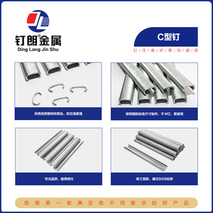 Clavo Tipo C Ding Lang Jin Shu C17C24 de Acero Inoxidable Galvanizado con Aleación de Zinc, Cabeza Plana y Punta de Cincel - Product Image 4