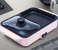Vente chaude portablb Cuisinière électrique 220V Rôti de rinçage Chaudron électrique à double usage pour dortoir et usage familial