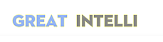 GREAT INTELLIGENT MANUFACTURING MCHJ logo
