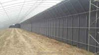 Serre de légumes fraise plantation agricole serre avec couverture plantation d'isolation d'hiver
