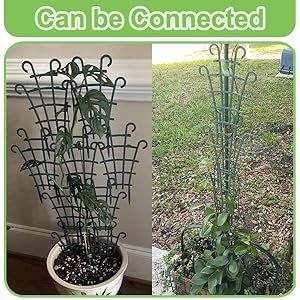 Plant <b>Climbing</b> <b>Frames</b> Stakes Arm Plant Support Ring Plant <b>Climbing</b> Trellis - Product Image 2