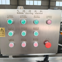 Continue bubbelwasmachine voor groenten en fruit voor automatische voedselverwerkingslijn