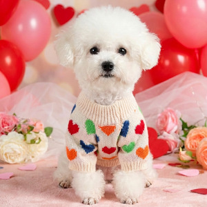 Vêtements pour animaux de compagnie pour l'automne et l'hiver, petits chiens, chiots, chiens et chats heureux, vêtements chauds et confortables, cœur coloré - Product Image 3
